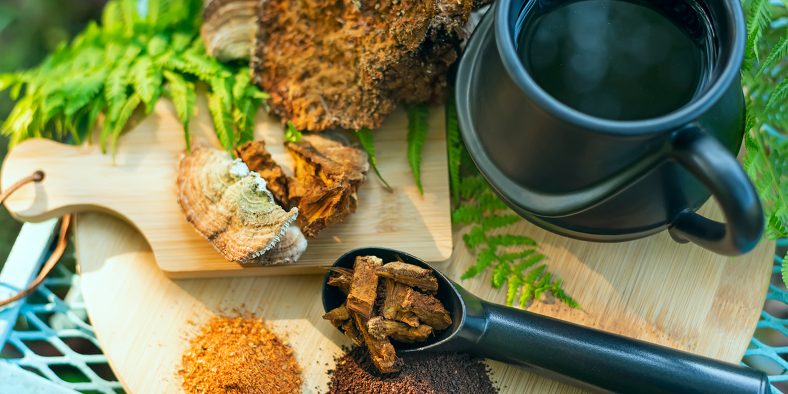 Why You Need These Superfoods