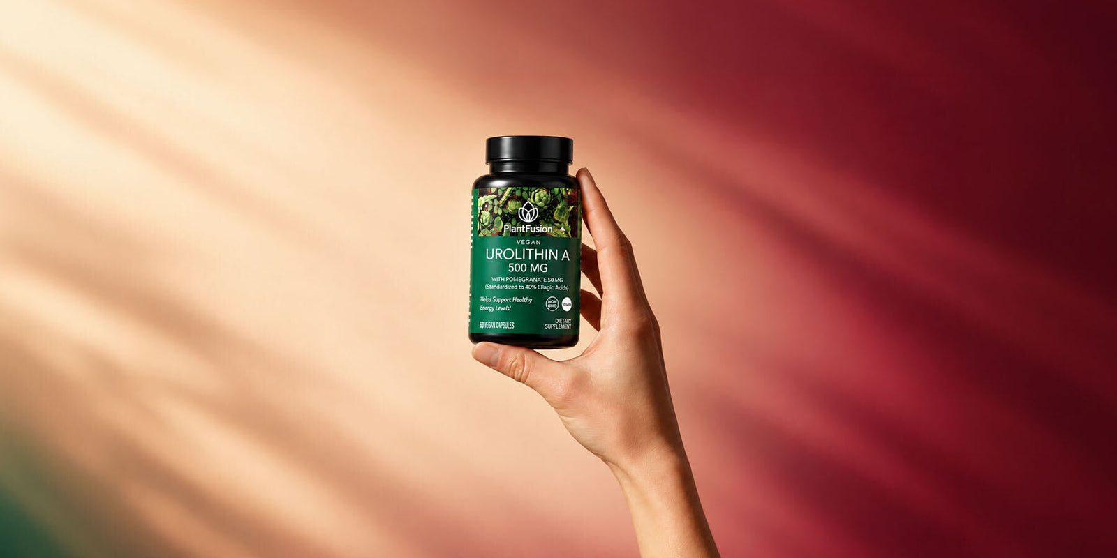 Urolithin A Supplements For Unlocking Cellular Energy