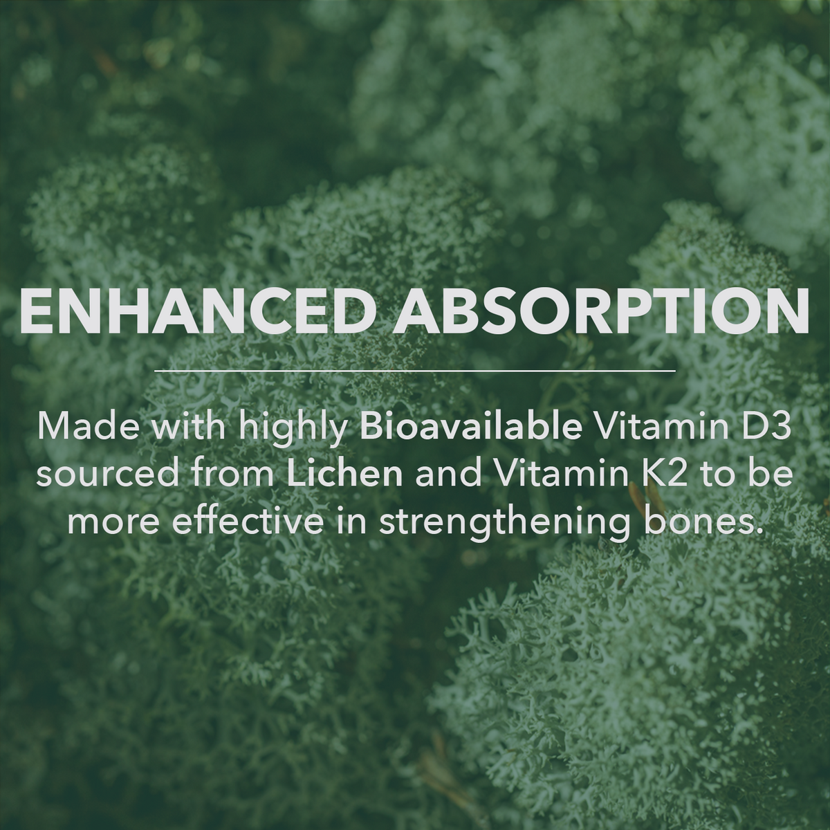 Organic Vegan Vitamin D3 + K2 – Save 30%