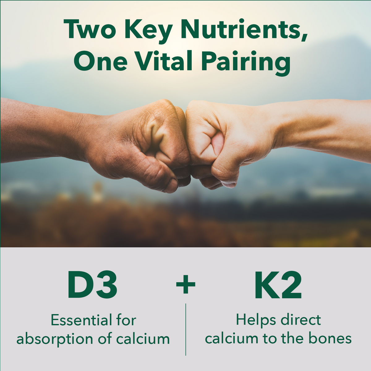 Organic Vegan Vitamin D3 + K2