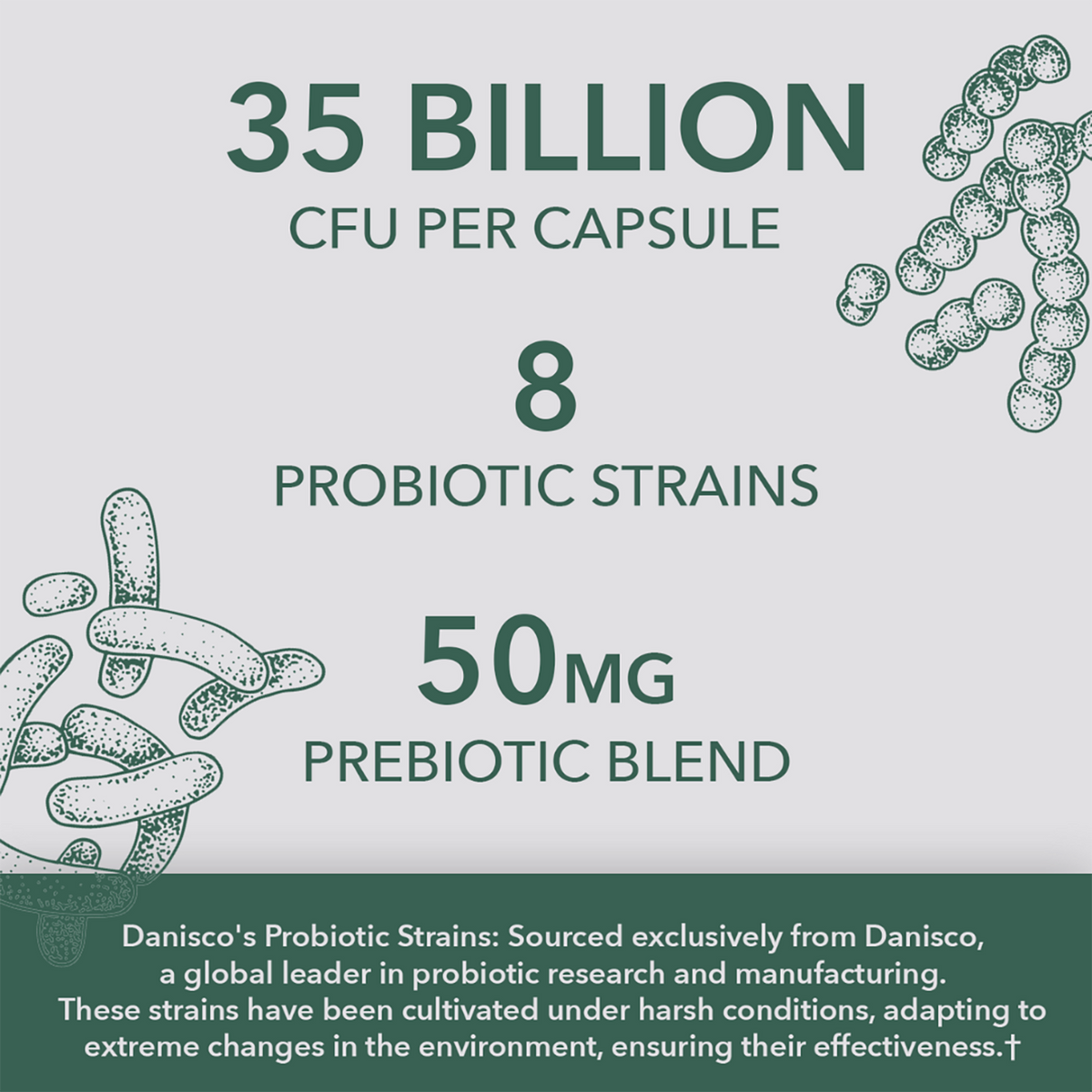 Vegan Probiotic - 35 Billion CFU, 8 Strains