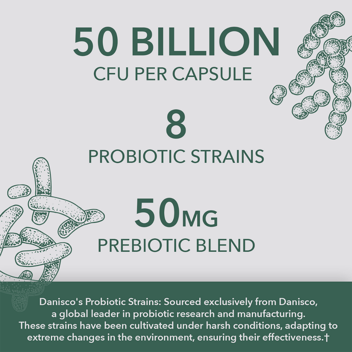 Vegan Women’s Probiotic 50 Billion CFU, 8 Strains