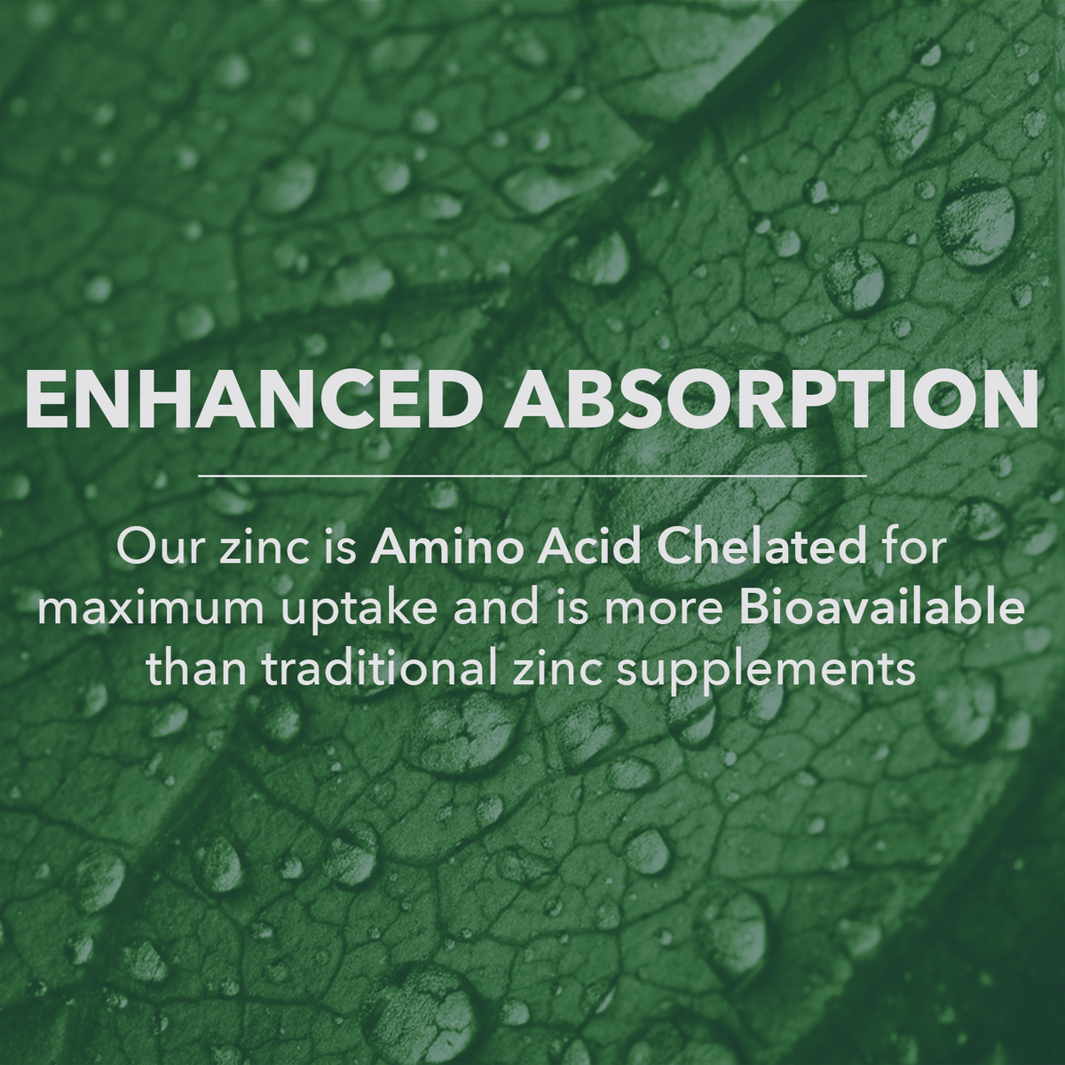 Vegan Wholefood Zinc Supplement - Save 20%