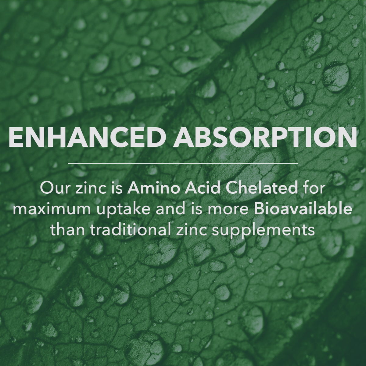 Vegan Wholefood Zinc Supplement