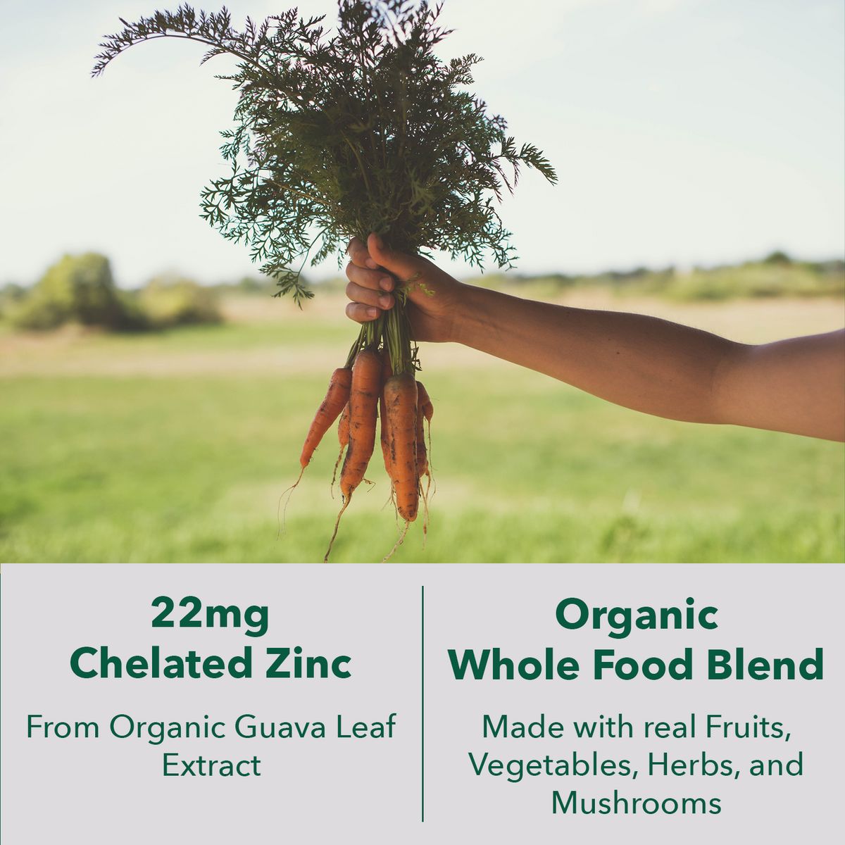 Vegan Wholefood Zinc Supplement - Save 20%