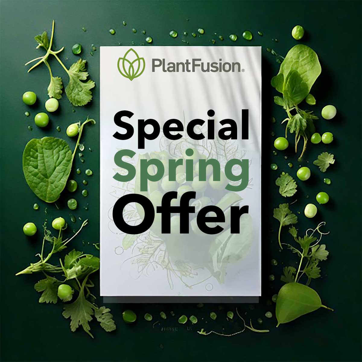 Spring Special Offer Insert