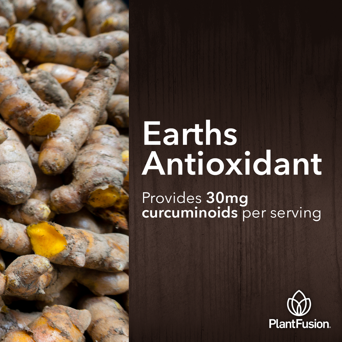 Turmeric & Ginger - Fermented Superfood Powder Blend - Save 20%