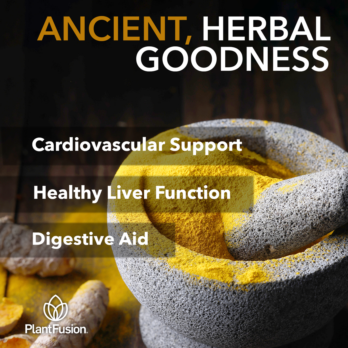 Turmeric & Ginger - Fermented Superfood Powder Blend - Save 20%