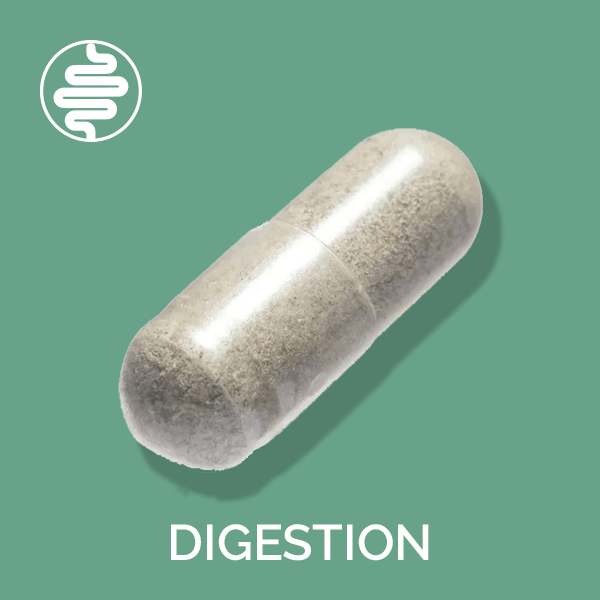 Probiotics for Digestion