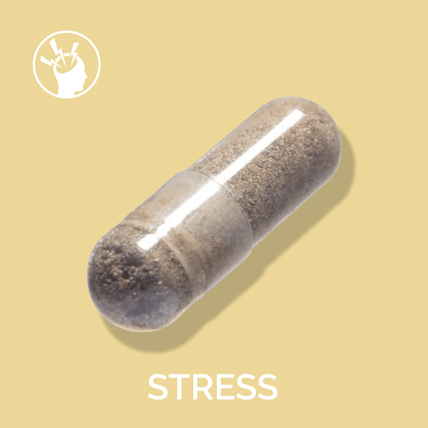 Ashwagandha for Stress