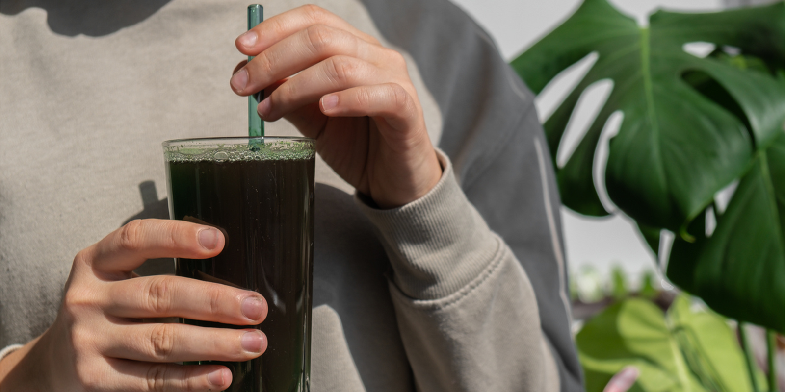 Detox Naturally: The Power of Organic Fermented Greens for Gut Health & Energy