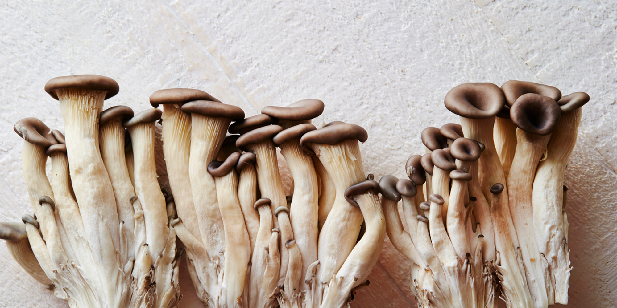 Mushrooms for Immunity?