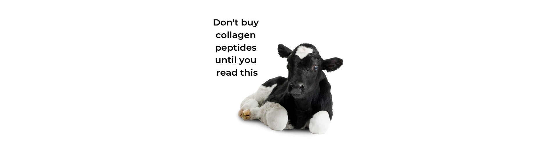 Hot Product or Hoax - Do Collagen Peptides Work?