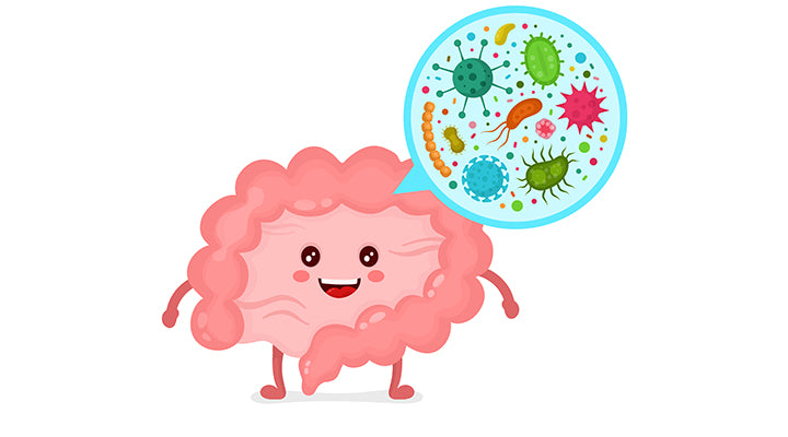 Healthy Gut, Healthy Life!