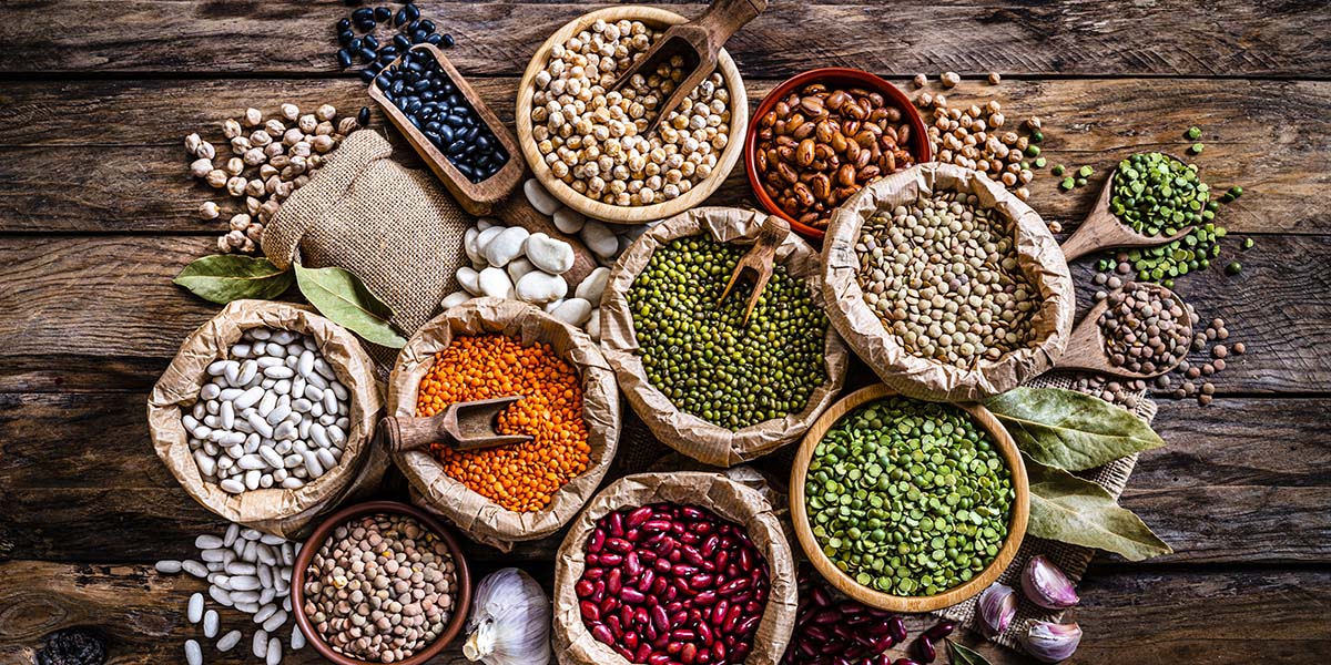 The Ultimate Guide to Plant-Based Protein