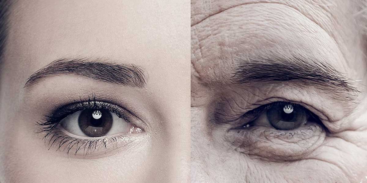 Saving Your Skin’s Collagen - What You Can Start Doing Today