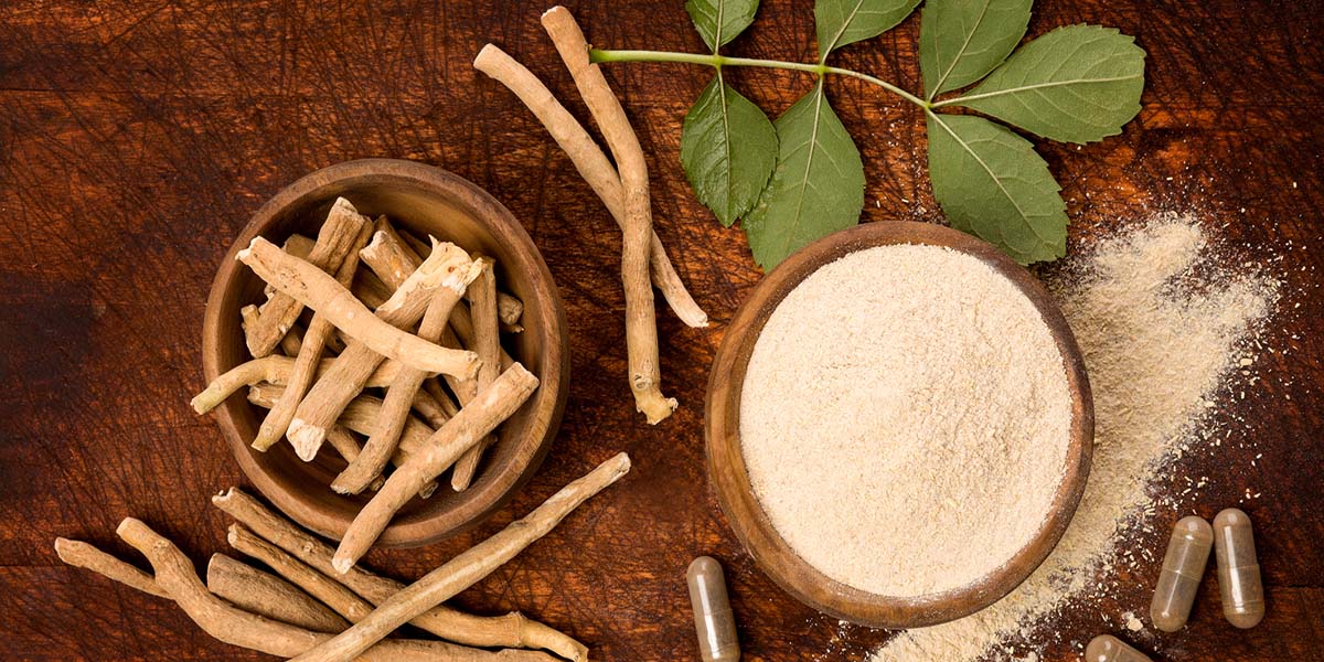 Select Source Spotlight – Ashwagandha, Ancient Herb – Modern Benefits
