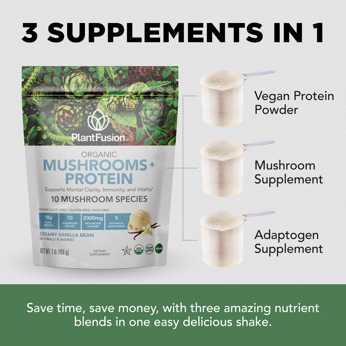 Mushrooms + Protein Powder