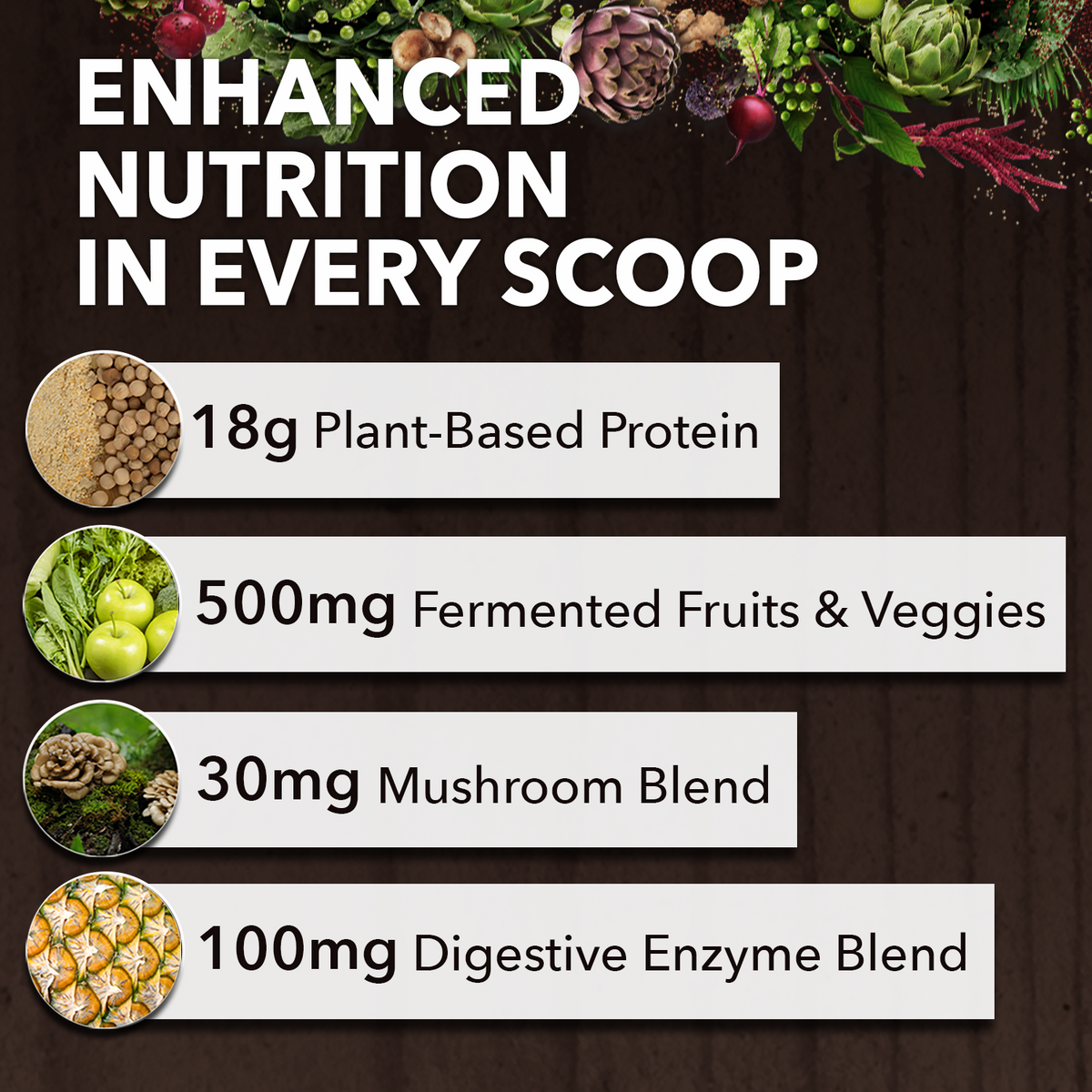 Organic Protein - Fermented Vegan Protein Powder