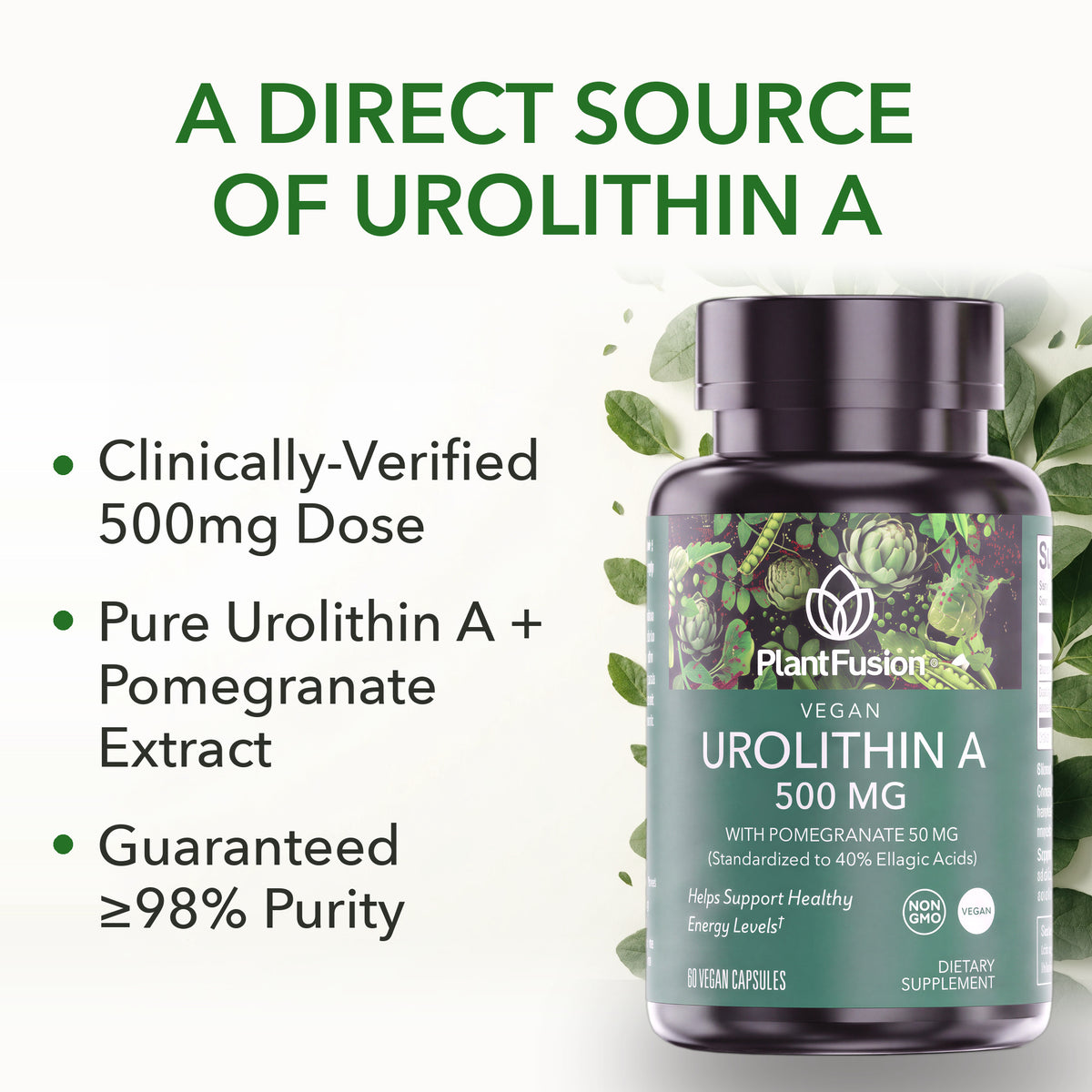 Urolithin A 500mg Supplement