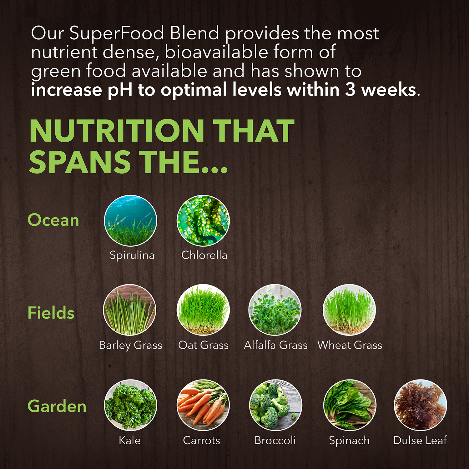 When To Use Our Superfood Mixes