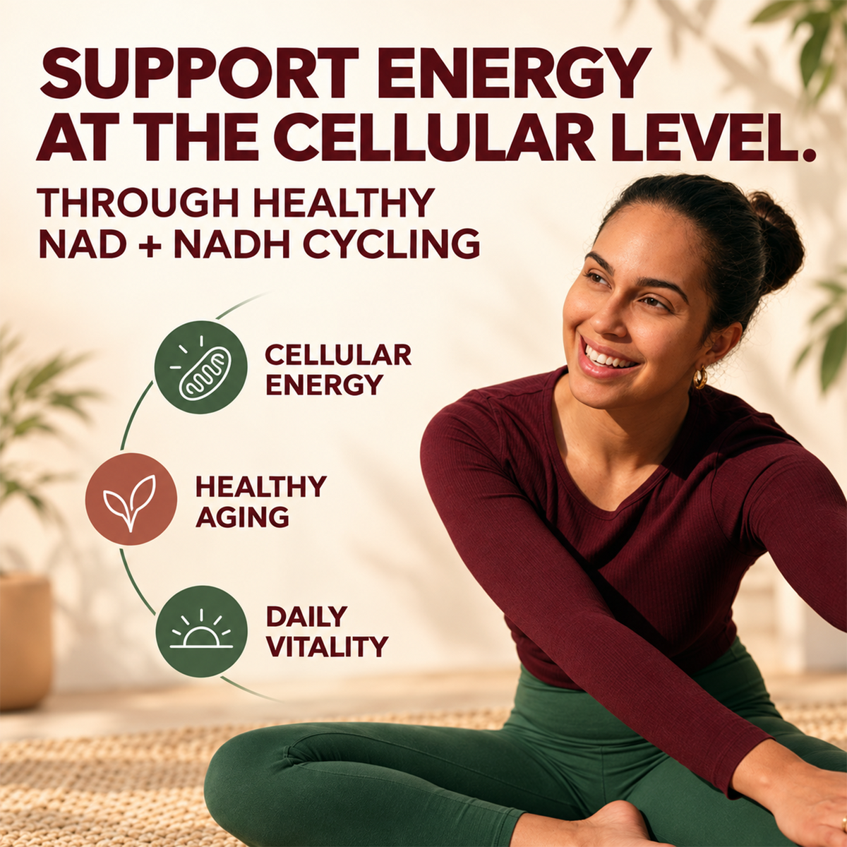 Urolithin A 500mg Supplement