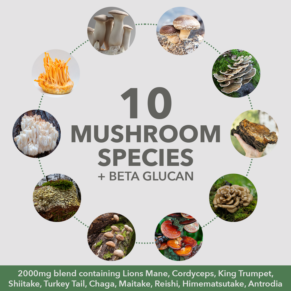 Mushrooms + Protein Powder Samples Offer